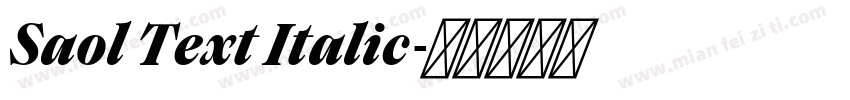 Saol Text Italic字体转换